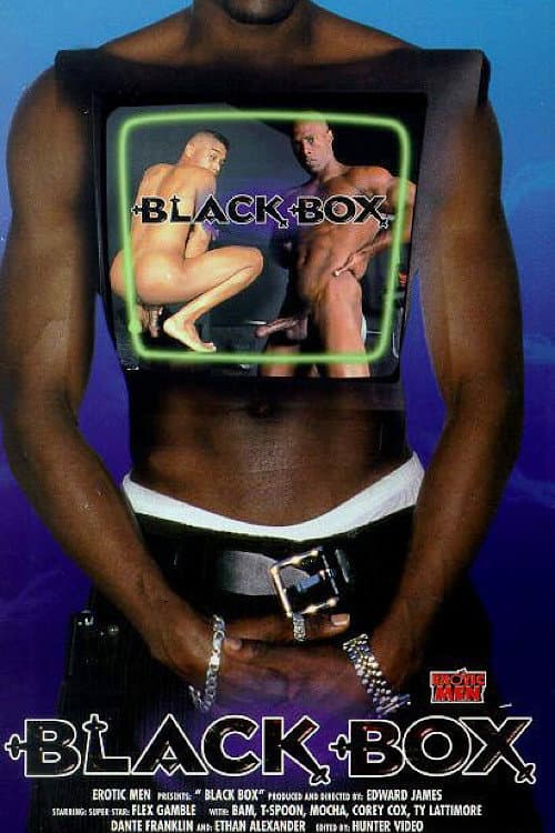 Постер: Black Box