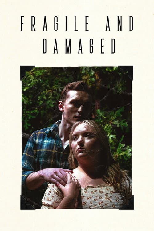 Постер: Fragile and Damaged