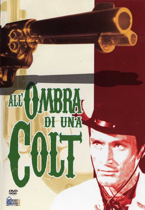 Постер: All'ombra di una colt