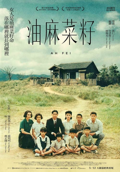 Постер: 油麻菜籽