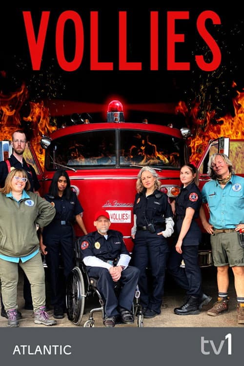 Постер: Vollies