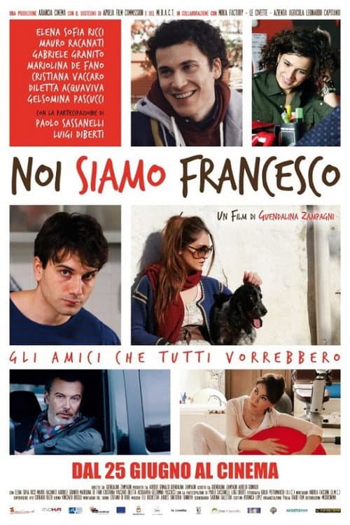 Постер: Noi siamo Francesco