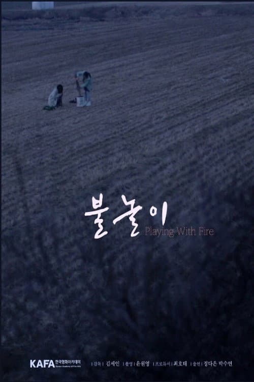Постер: 불놀이