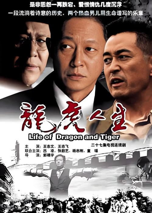 Постер: 龙虎人生