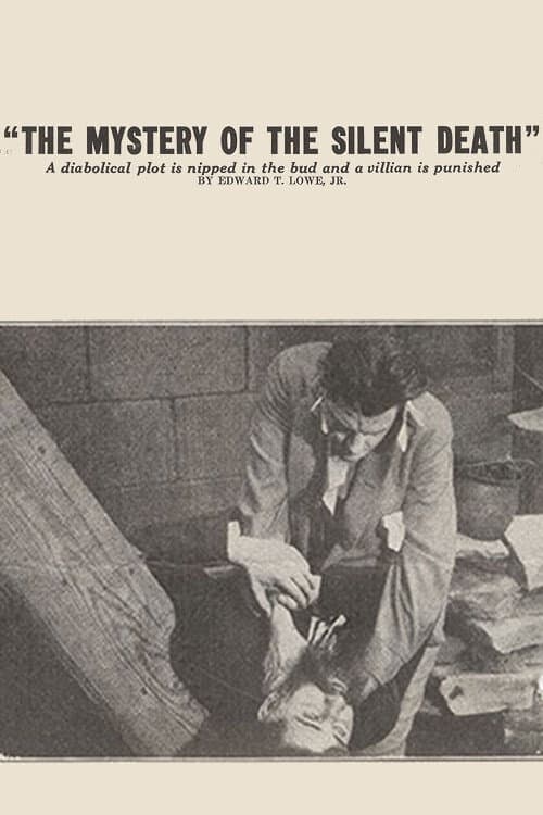 Постер: The Mystery of the Silent Death