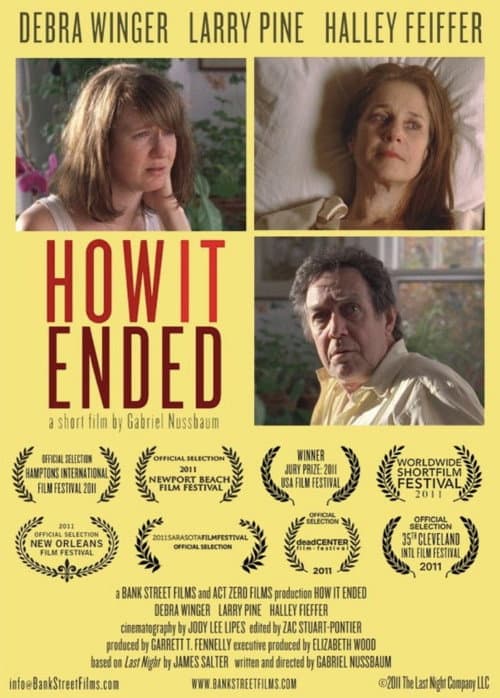 Постер: How It Ended