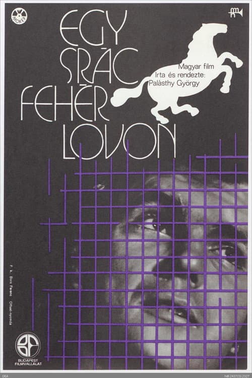 Постер: Egy srác fehér lovon