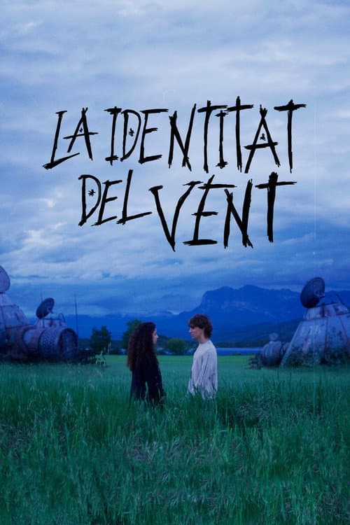 Постер: La identitat del vent