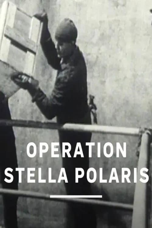 Постер: Operation Stella Polaris