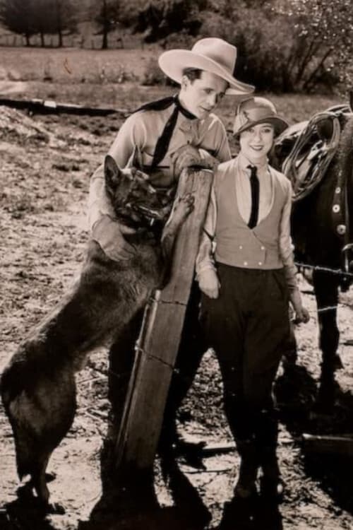 Постер: The Four-Footed Ranger