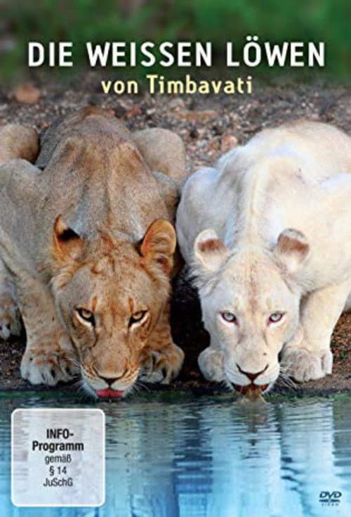 Постер: Die weißen Löwen von Timbavati