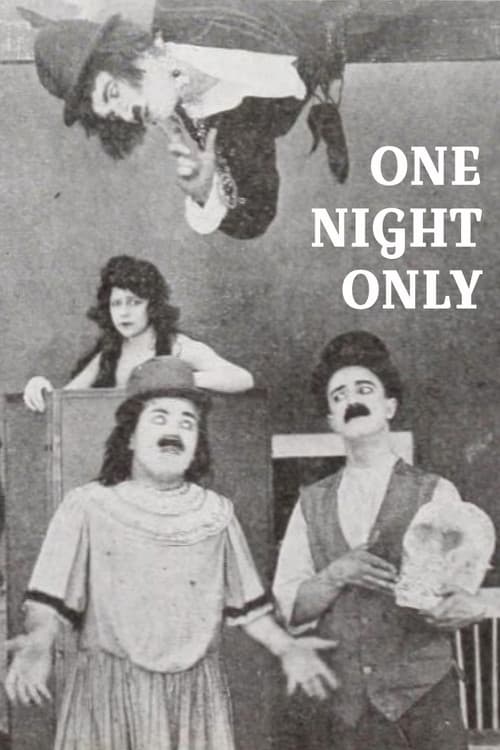 Постер: One Night Only