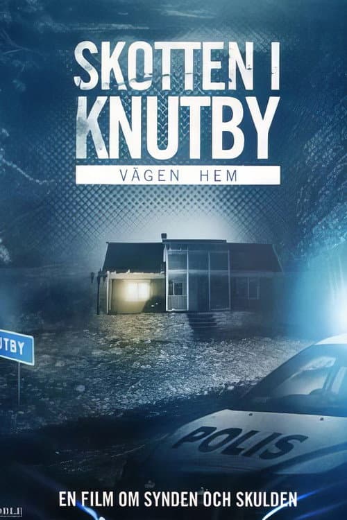 Постер: Vägen hem