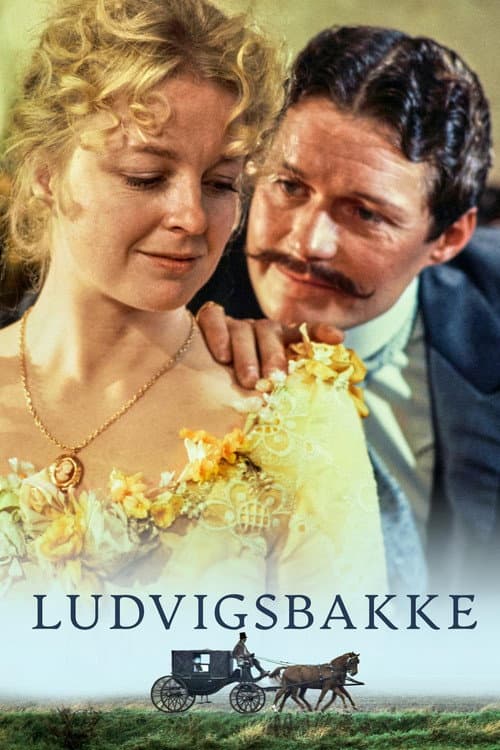 Постер: Ludvigsbakke