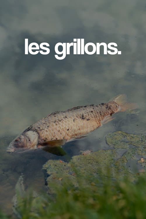 Постер: les grillons.
