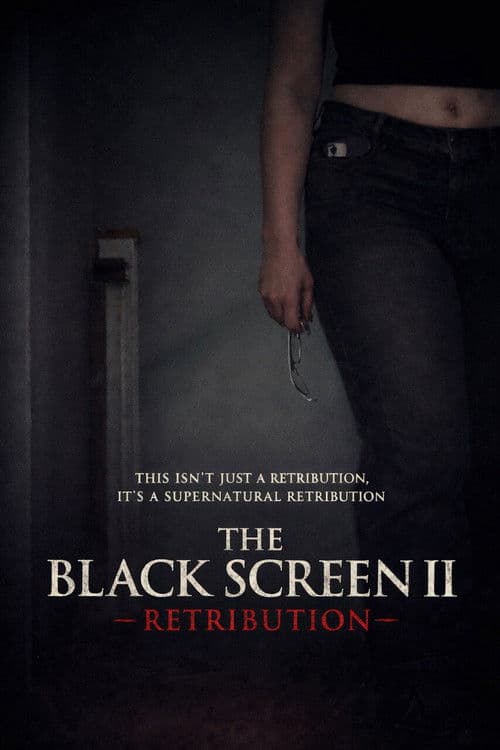 Постер: The Black Screen II - Retribution
