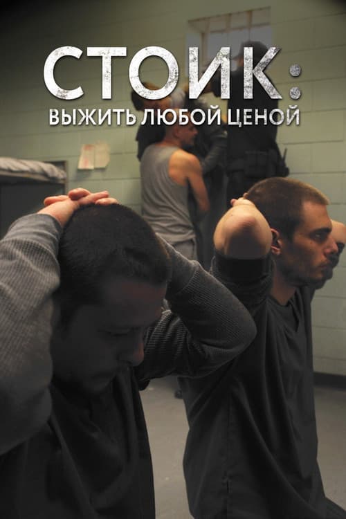 Постер: Стоик: Выжить любой ценой