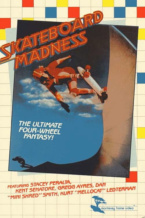 Постер: Skateboard Madness