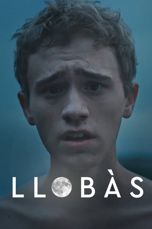 Постер: Llobàs