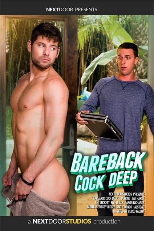Постер: Bareback Cock Deep