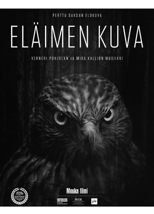 Постер: Eläimen kuva