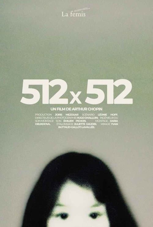 Постер: 512X512