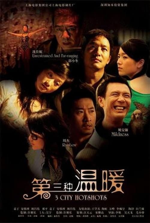 Постер: 第三种温暖