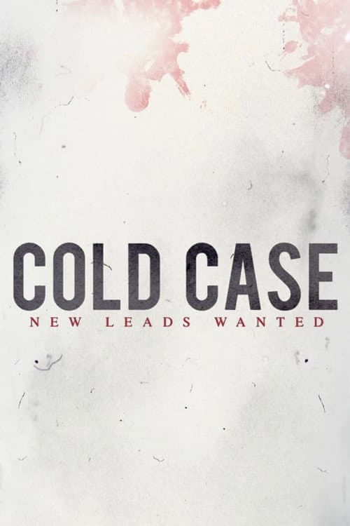 Постер: Cold Case