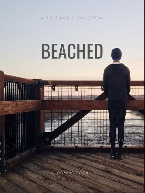 Постер: Beached