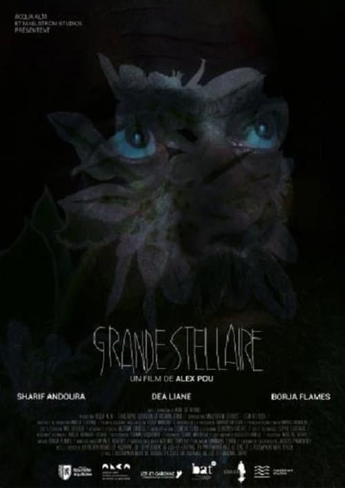 Постер: Grande Stellaire