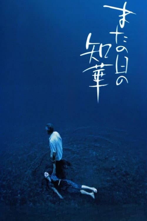 Постер: またの日の知華