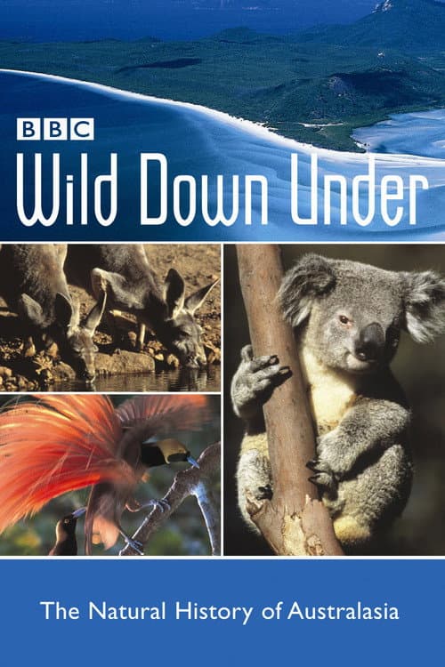 Постер: Wild Down Under