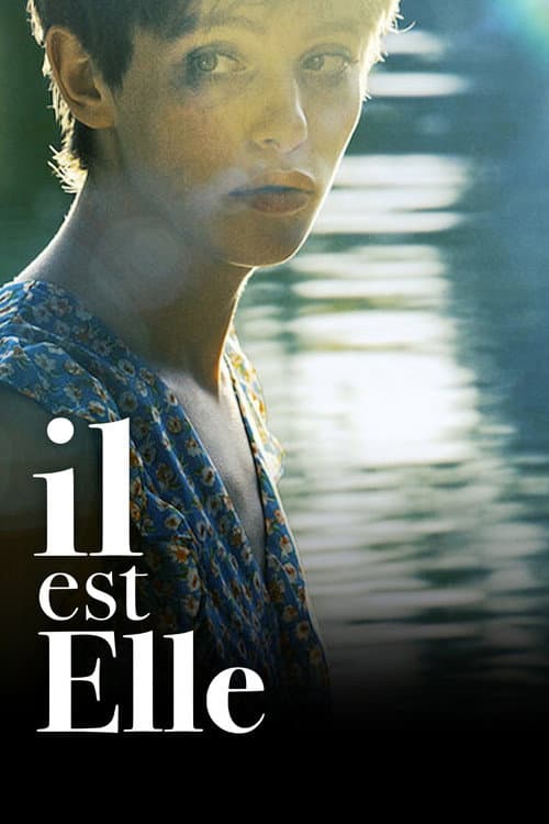 Постер: Il est elle