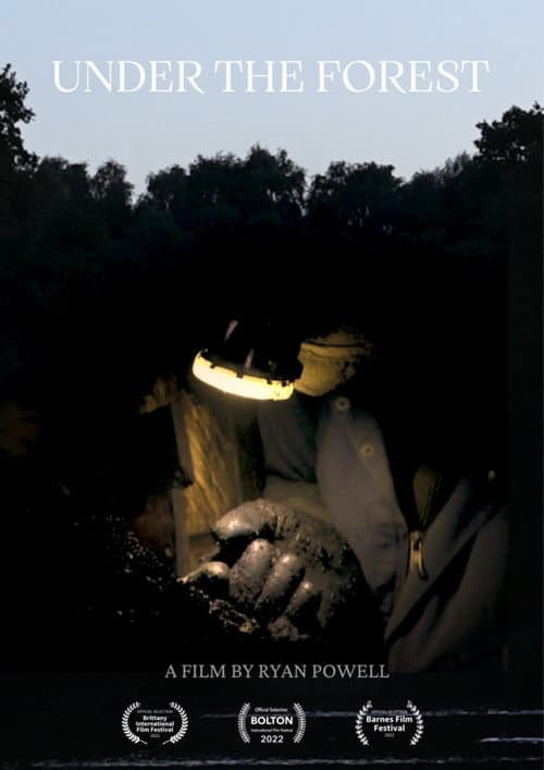 Постер: Under the Forest