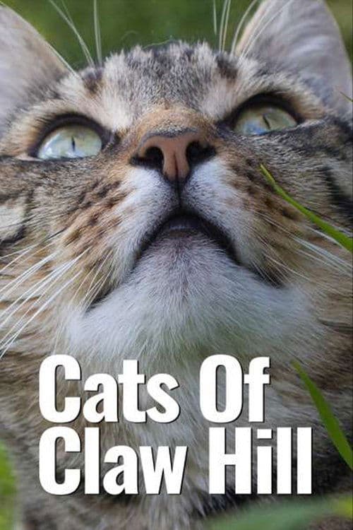 Постер: Cats of Claw Hill