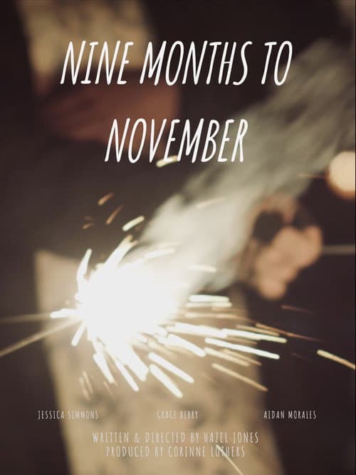 Постер: Nine Months to November