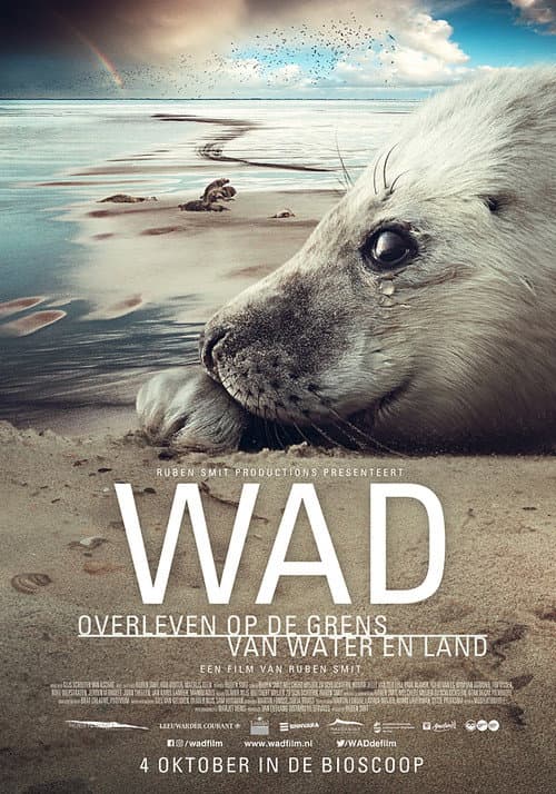 Постер: Wad: overleven op de grens van water en land