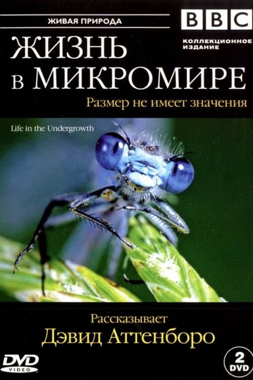 Постер: Жизнь в микромире