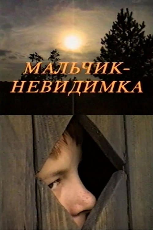 Постер: Мальчик-невидимка