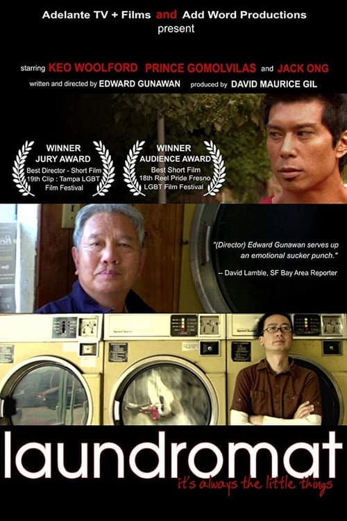 Постер: Laundromat