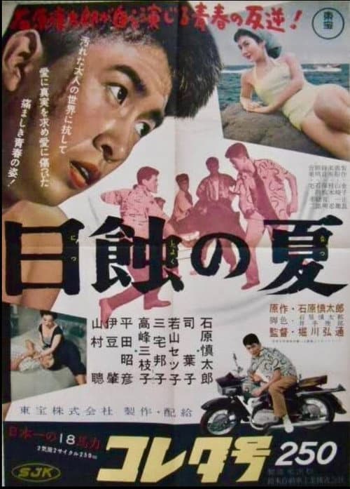 Постер: 日蝕の夏