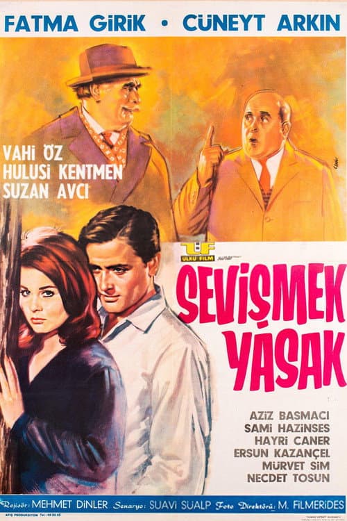 Постер: Sevişmek Yasak