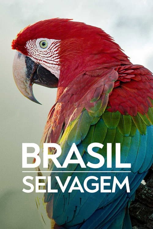 Постер: Brazil Untamed