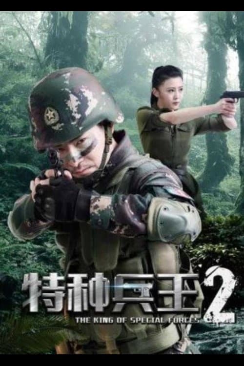 Постер: 特种兵王2使命抉择