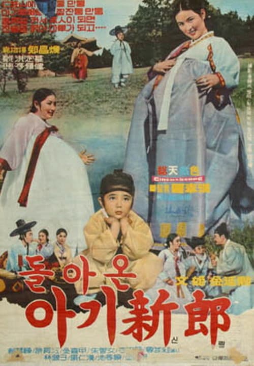 Постер: 돌아온 아기신랑