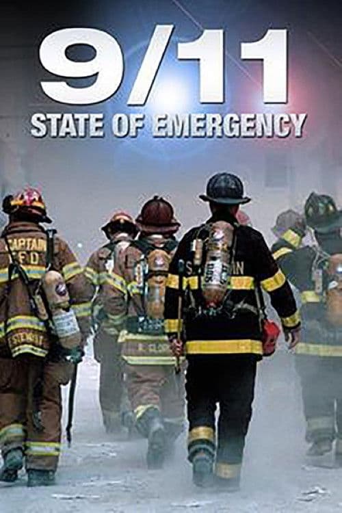 Постер: 9/11 State of Emergency