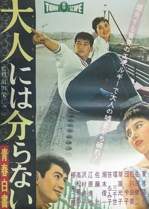 Постер: 青春白書 大人には分らない