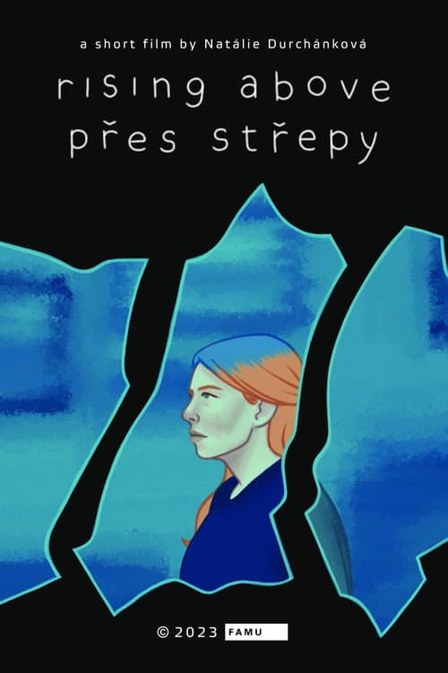 Постер: Přes střepy