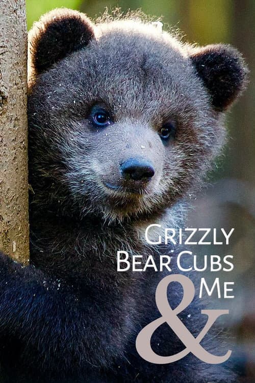 Постер: Grizzly Bear Cubs and Me