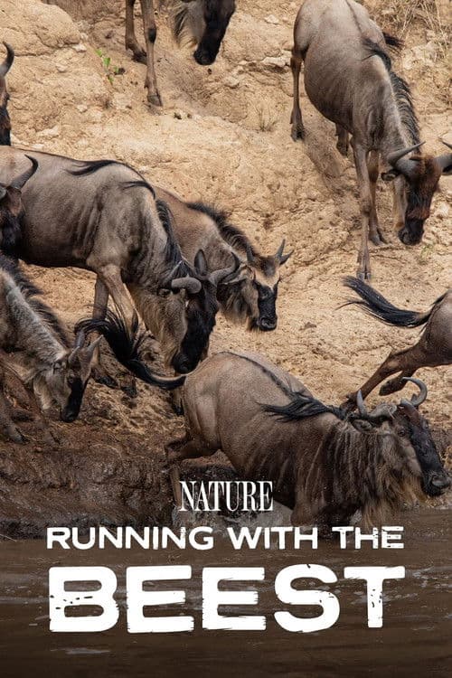 Постер: Running With The Beest